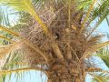 Juin2012 074.jpg